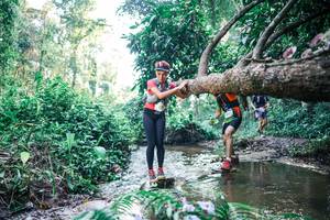 BIB: 
                            <button type="button" onclick="openModal(25434870)" class="btn btn-primary btn-sm float-right btn-popup" data-toggle="modal" data-target=".modal-high-quality">
                        <i class="fas fa-shopping-cart"></i> Add to Cart
                    </button>
                                            <button type="button" onclick="isThisMe(25434870, true)" class="btn btn-success btn-sm float-right btn-popup btn-isme hidden" data-toggle="tooltip" data-placement="bottom" title="นี่คือรูปของคุณใช่ไหม คลิกที่นี่เพื่อเอาเข้าอัลบั้ม">
                        <i class="fas fa-plus"></i> Add to album
                    </button>
                    <button type="button" onclick="isThisMe(25434870, false)" class="btn btn-warning btn-sm float-right btn-popup btn-isnotme hidden">
                        <i class="fas fa-ban"></i> Remove from album
                    </button>